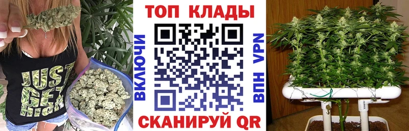 Наркошоп купить Гашиш  КОКАИН  Alpha PVP  Псилоцибиновые грибы  КЕТАМИН  Бошки Шишки  Меф  Светлоград